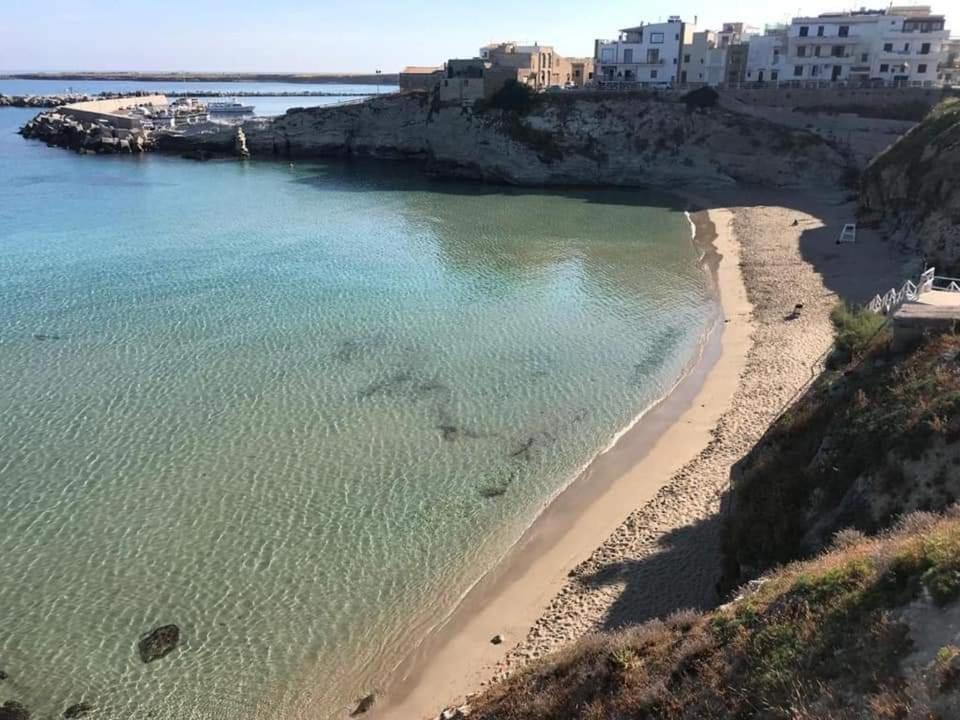 טראסיני Il Moro - Casa Vacanze מראה חיצוני תמונה